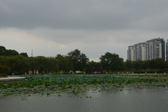 湖边建筑群