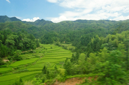 青山绿色农田