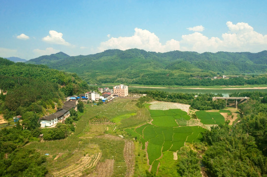 蓝天下山地绿野