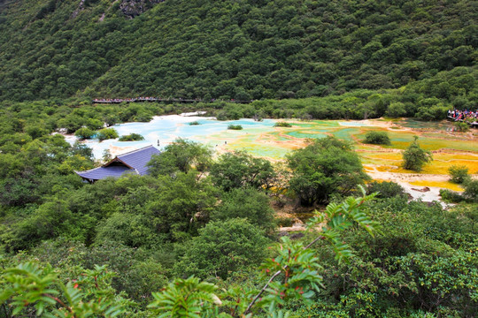 黄龙风景区 地表钙华景观