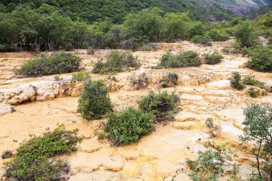 黄龙风景区 地表钙华景观