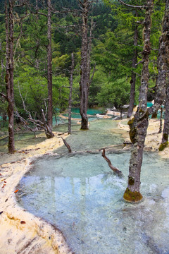 黄龙风景区 地表钙华景观