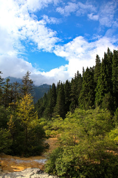 黄龙风景区 地表钙华景观