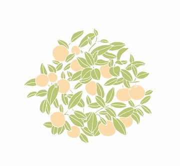 柑 圓形花紋