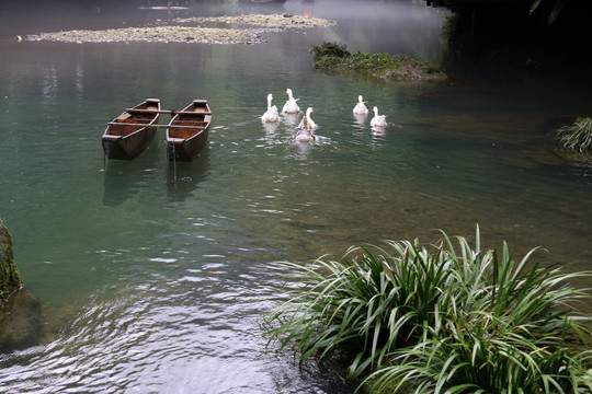 三峡人家风景