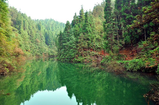 林间湖泊