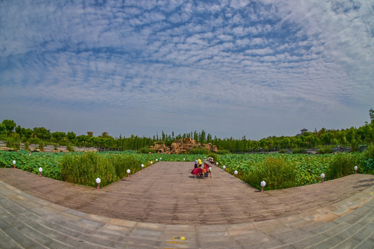 潘安湖湿地 高清大画幅