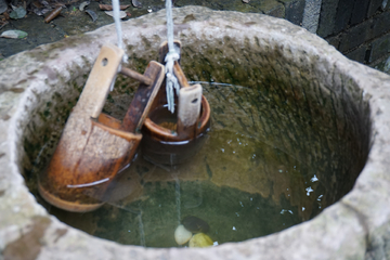 井水 水桶