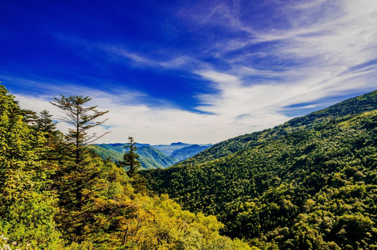 神农架山景