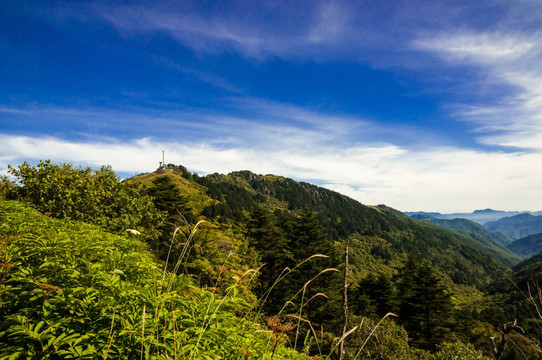 神农架山景