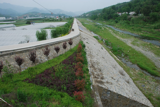 杨柳河坝