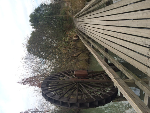 西溪湿地 桥