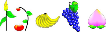手绘水果