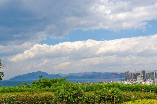 湿地风景