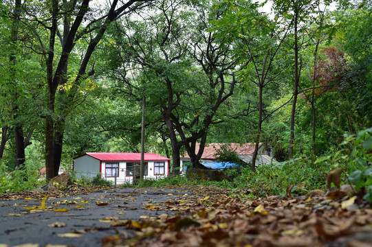 山村