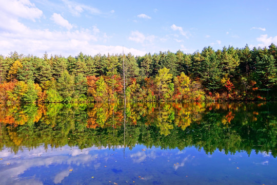 湖泊灿烂树林红叶