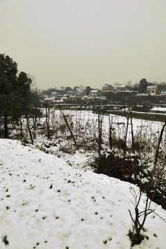 南方雪景