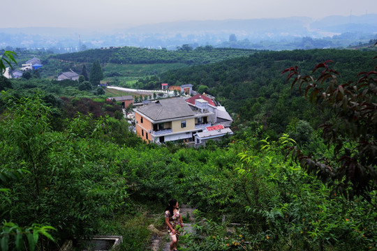 黄桃园 美丽乡村