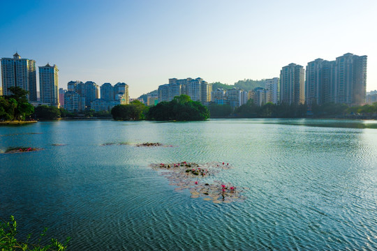 惠州西湖南湖景色