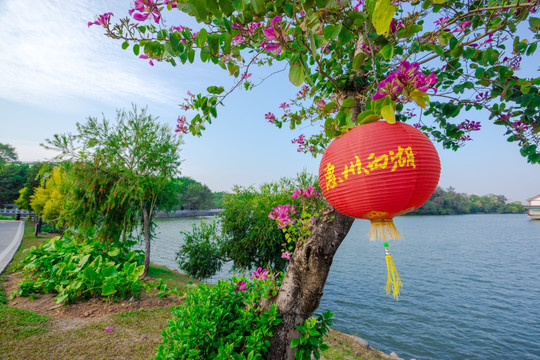 惠州西湖风景区