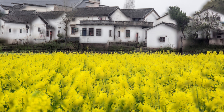 诸葛八卦村