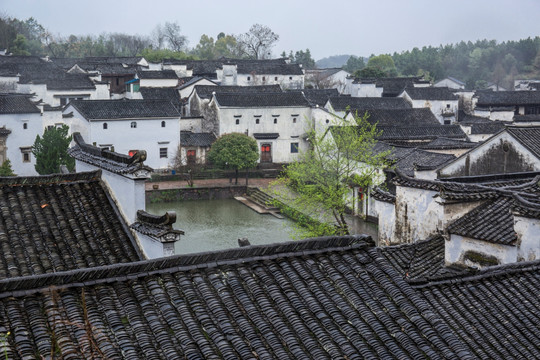 诸葛八卦村 民居