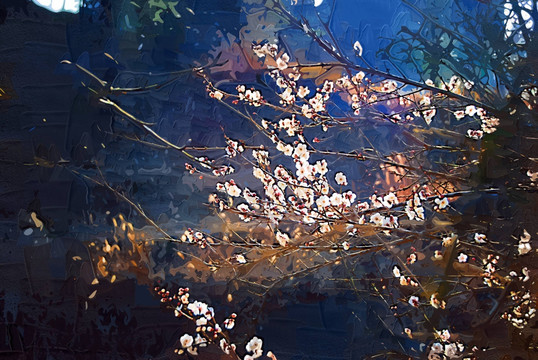 梅花 無(wú)框畫(huà) 裝飾畫(huà) 抽象畫(huà)