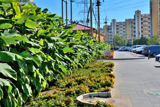 城市街道