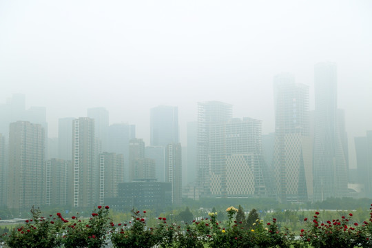 雨中的杭州高楼