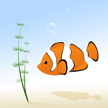 觀賞魚