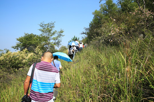 登山 自然 冒险 户外 运动