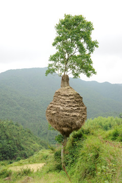 稻草堆