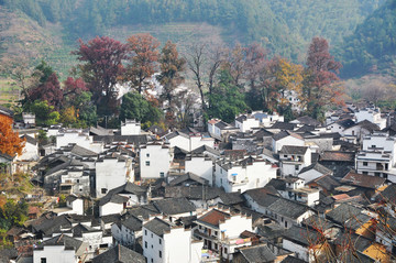 婺源石城红叶