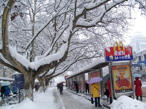 2008南京中央路雪景