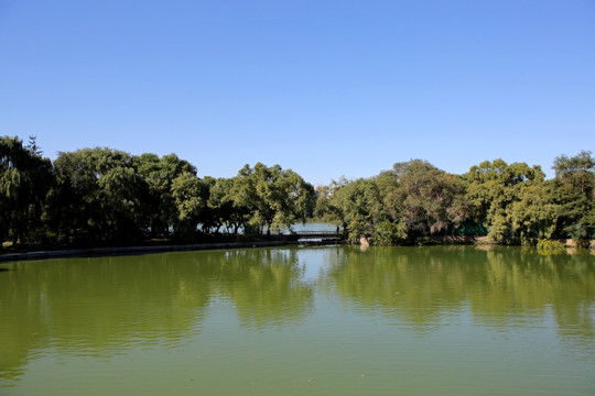 北陵公园 湖面 水面 风景