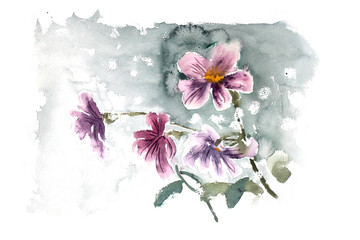 插画紫色花卉