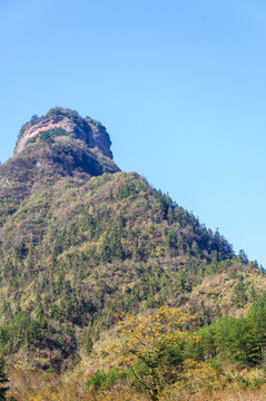 山頭