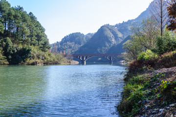 横河