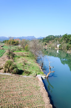 横河