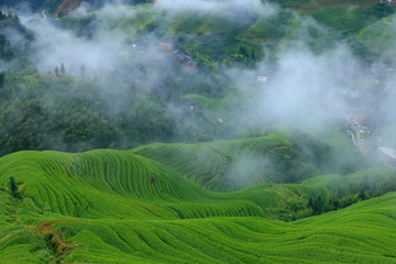 龙脊梯田