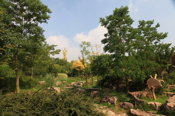 日照植物园