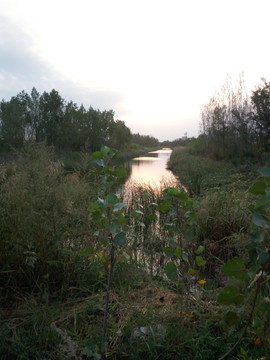 夕阳下的小河