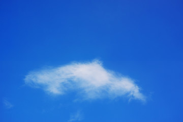 一朵云
