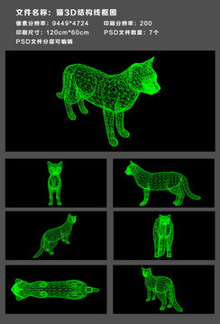 貓3D結構線框圖