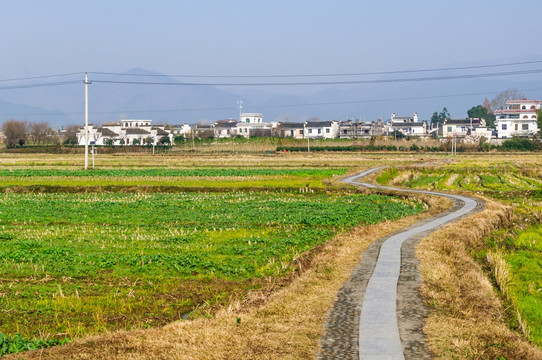 村外农田