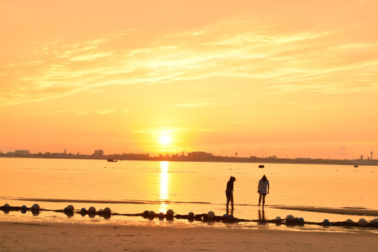 日出 阳光 夏天 景观 海边