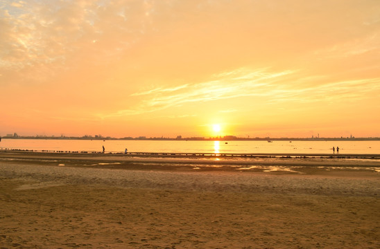 日出 阳光 夏天 景观 海边