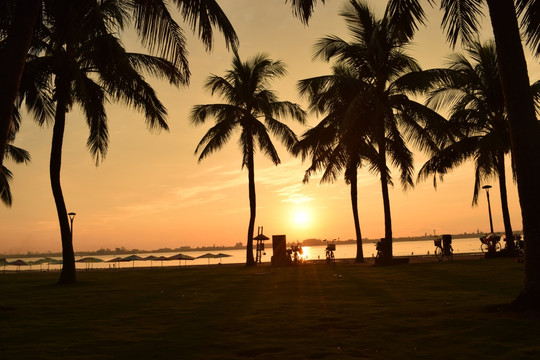 日出 阳光 夏天 景观 海边