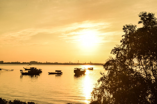 日出 阳光 夏天 景观 海边