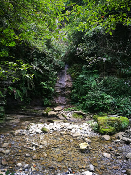 小溪 河流